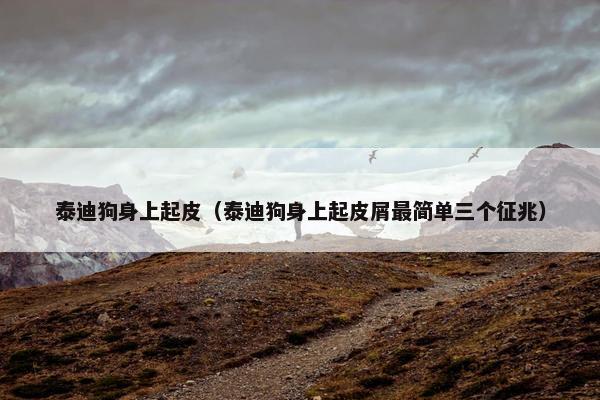 泰迪狗身上起皮（泰迪狗身上起皮屑最简单三个征兆）