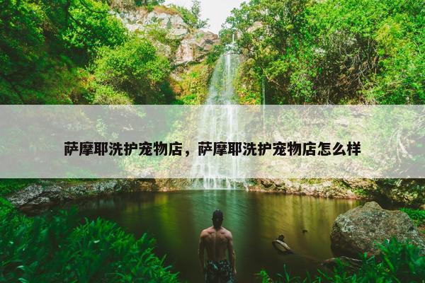 萨摩耶洗护宠物店，萨摩耶洗护宠物店怎么样