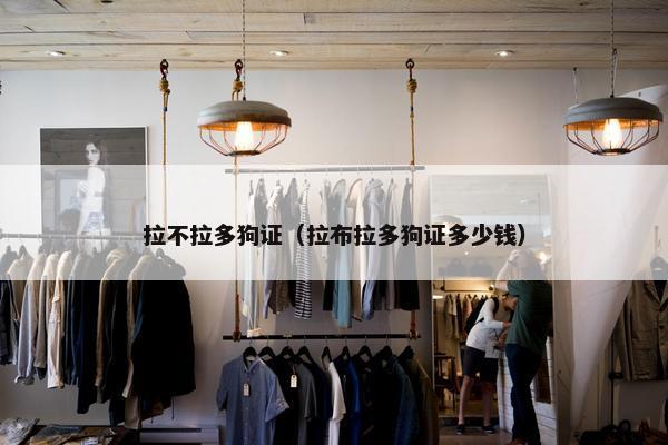 拉不拉多狗证（拉布拉多狗证多少钱）