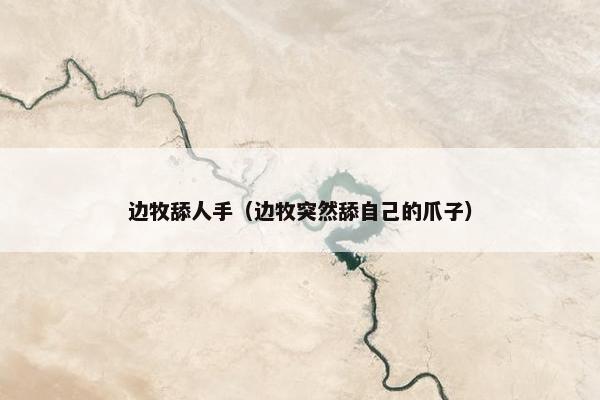 边牧舔人手（边牧突然舔自己的爪子）