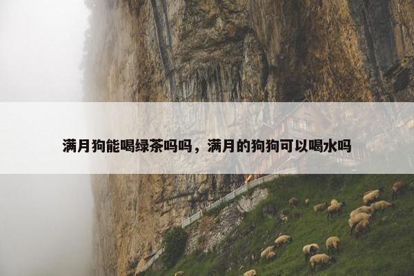 满月狗能喝绿茶吗吗，满月的狗狗可以喝水吗