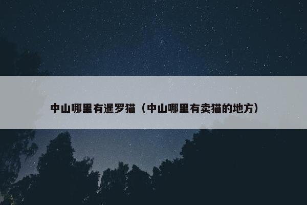 中山哪里有暹罗猫（中山哪里有卖猫的地方）