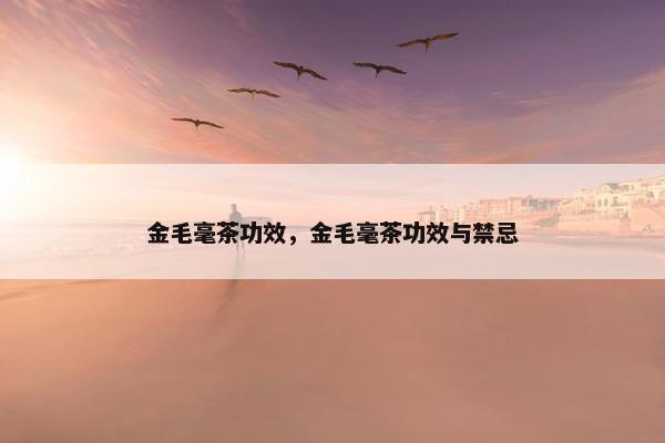 金毛毫茶功效，金毛毫茶功效与禁忌