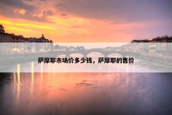萨摩耶市场价多少钱，萨摩耶的售价