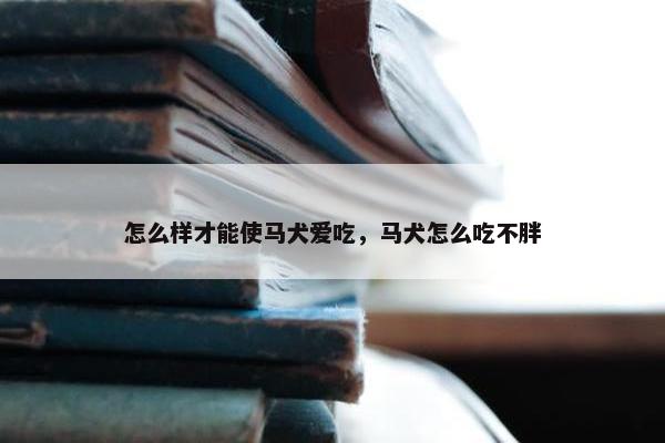 怎么样才能使马犬爱吃，马犬怎么吃不胖
