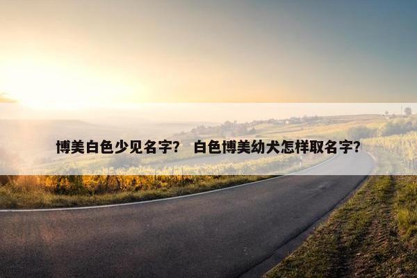 博美白色少见名字？ 白色博美幼犬怎样取名字？