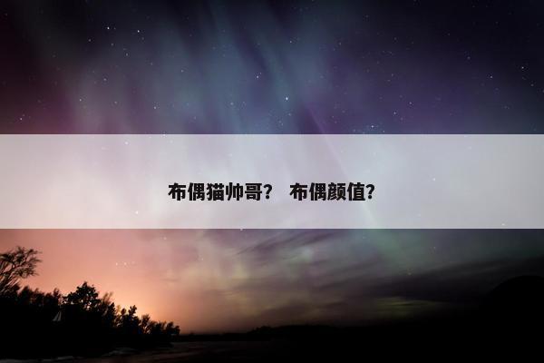 布偶猫帅哥？ 布偶颜值？