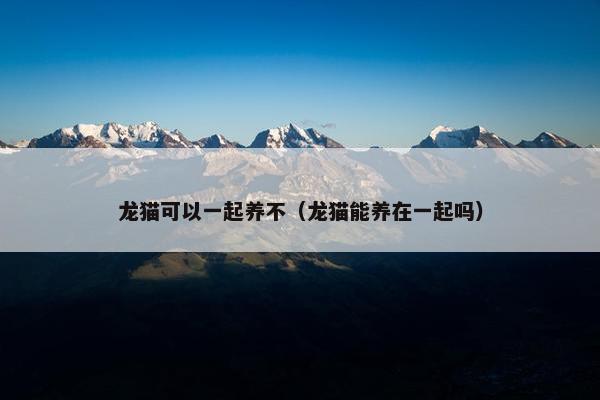 龙猫可以一起养不（龙猫能养在一起吗）