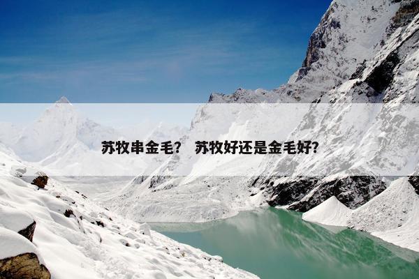 苏牧串金毛？ 苏牧好还是金毛好？