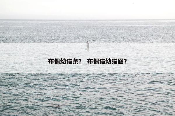 布偶幼猫条？ 布偶猫幼猫图？