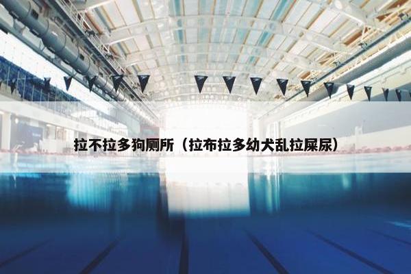 拉不拉多狗厕所（拉布拉多幼犬乱拉屎尿）