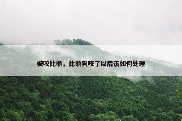 被咬比熊，比熊狗咬了以后该如何处理
