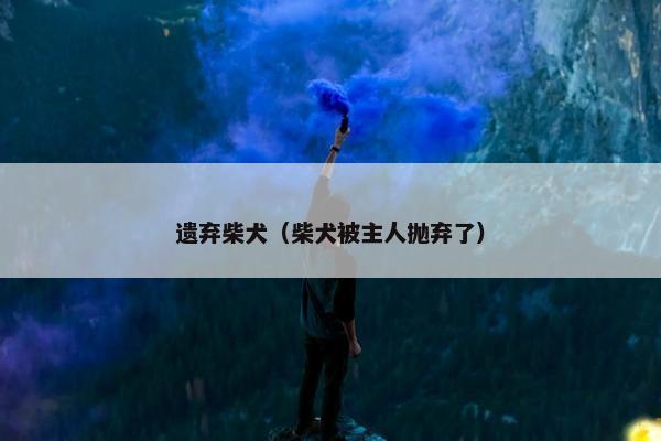 遗弃柴犬（柴犬被主人抛弃了）