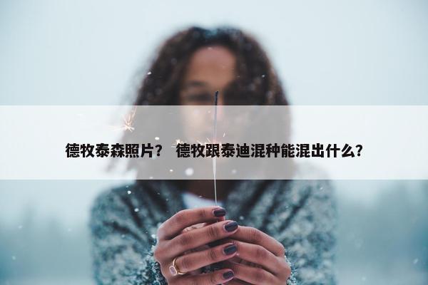 德牧泰森照片？ 德牧跟泰迪混种能混出什么？