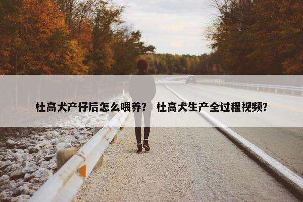 杜高犬产仔后怎么喂养？ 杜高犬生产全过程视频？