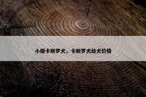 小版卡斯罗犬，卡斯罗犬幼犬价格