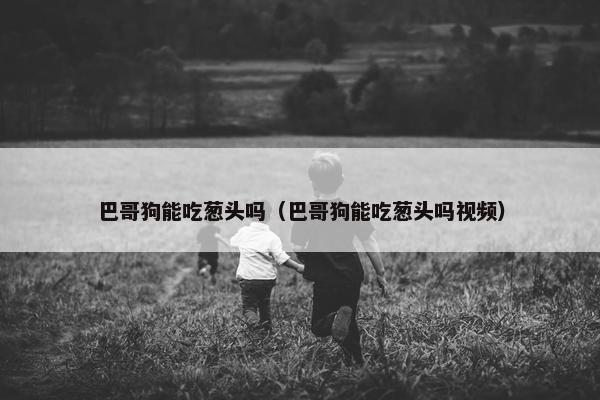 巴哥狗能吃葱头吗（巴哥狗能吃葱头吗视频）