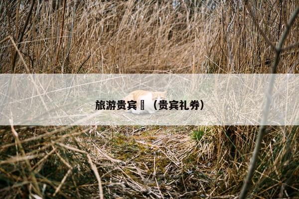 旅游贵宾劵（贵宾礼券）