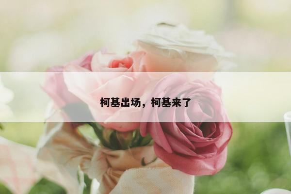 柯基出场，柯基来了