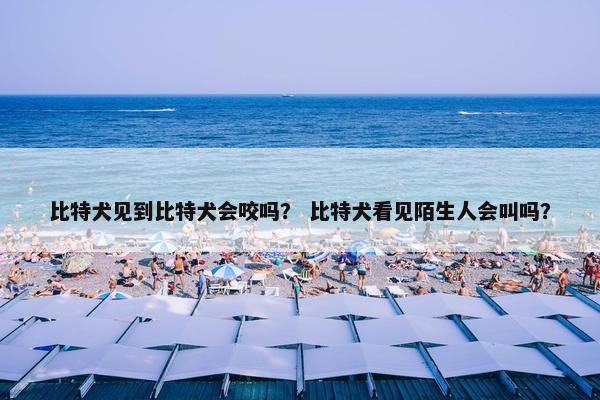 比特犬见到比特犬会咬吗？ 比特犬看见陌生人会叫吗？