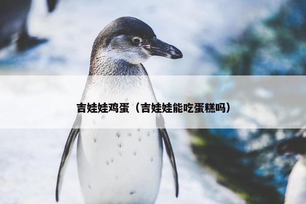 吉娃娃鸡蛋（吉娃娃能吃蛋糕吗）