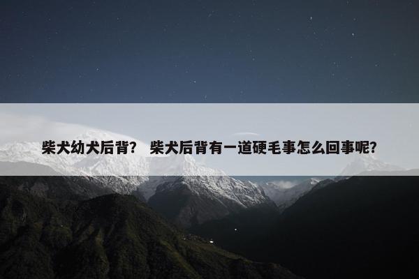 柴犬幼犬后背？ 柴犬后背有一道硬毛事怎么回事呢？