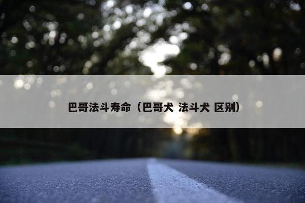 巴哥法斗寿命（巴哥犬 法斗犬 区别）
