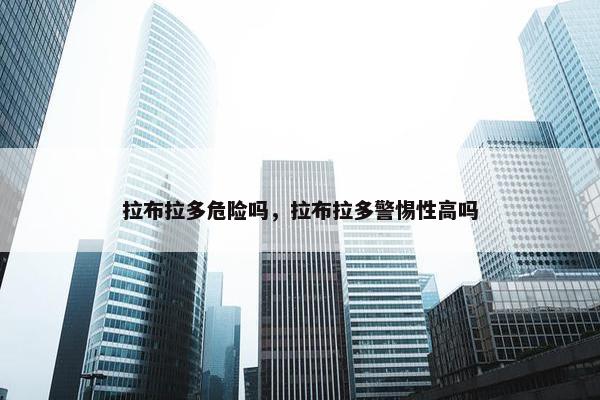 拉布拉多危险吗，拉布拉多警惕性高吗