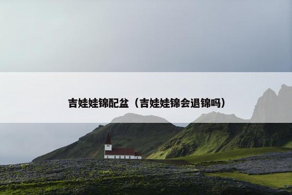 吉娃娃锦配盆（吉娃娃锦会退锦吗）