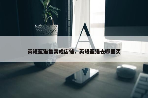 英短蓝猫售卖成店铺，英短蓝猫去哪里买