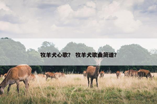 牧羊犬心歌？ 牧羊犬歌曲简谱？