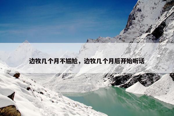 边牧几个月不尴尬，边牧几个月后开始听话
