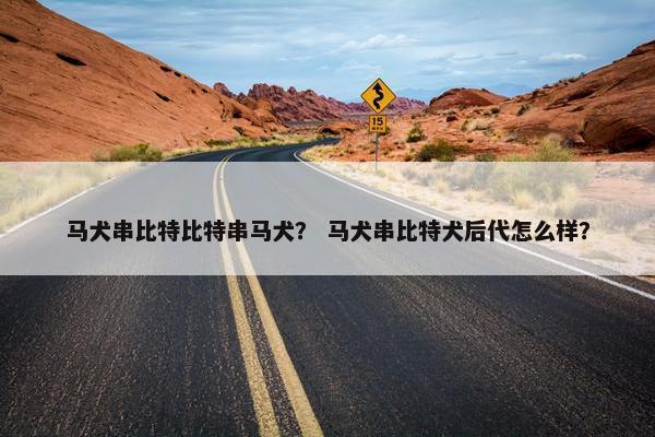 马犬串比特比特串马犬？ 马犬串比特犬后代怎么样？