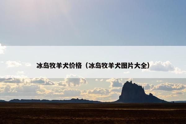冰岛牧羊犬价格（冰岛牧羊犬图片大全）