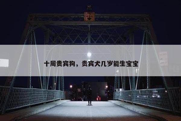 十周贵宾狗，贵宾犬几岁能生宝宝