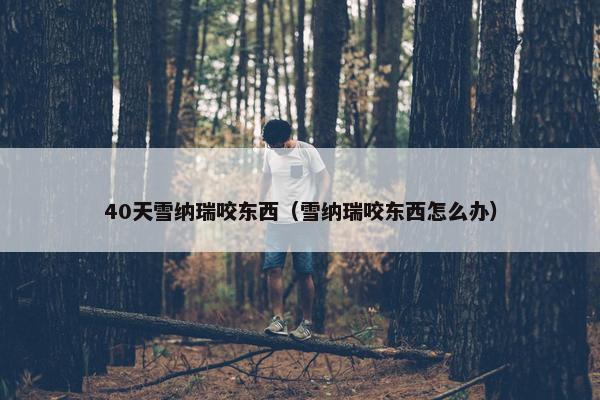40天雪纳瑞咬东西（雪纳瑞咬东西怎么办）