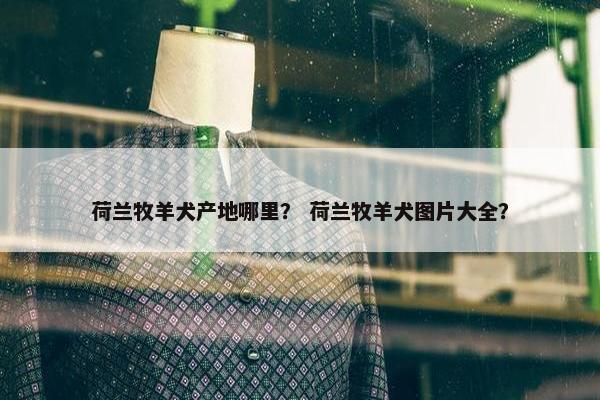 荷兰牧羊犬产地哪里？ 荷兰牧羊犬图片大全？