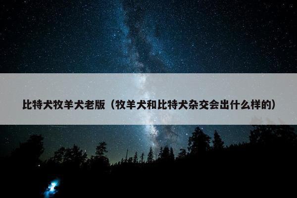 比特犬牧羊犬老版（牧羊犬和比特犬杂交会出什么样的）