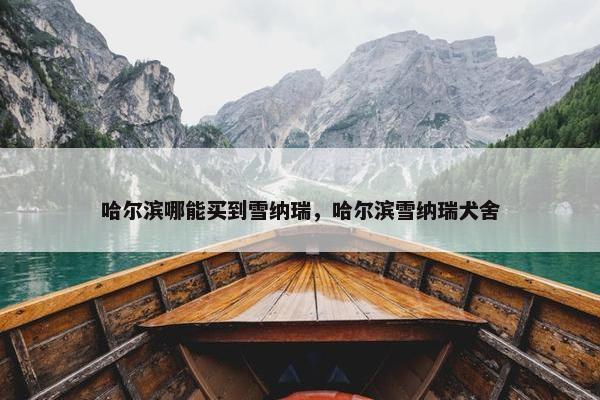 哈尔滨哪能买到雪纳瑞，哈尔滨雪纳瑞犬舍