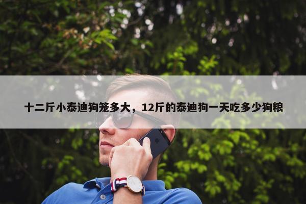 十二斤小泰迪狗笼多大，12斤的泰迪狗一天吃多少狗粮