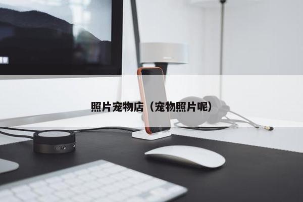 照片宠物店（宠物照片呢）