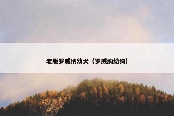 老版罗威纳幼犬（罗威纳幼狗）