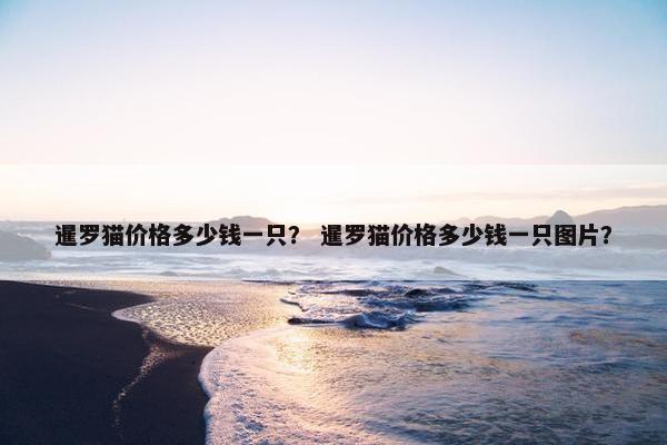 暹罗猫价格多少钱一只？ 暹罗猫价格多少钱一只图片？