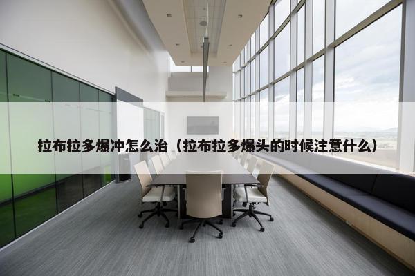 拉布拉多爆冲怎么治（拉布拉多爆头的时候注意什么）
