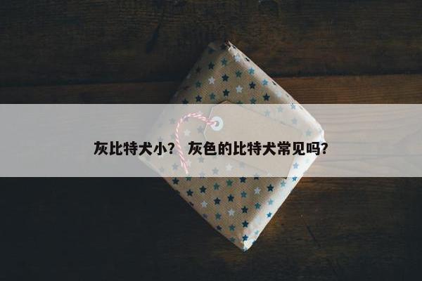 灰比特犬小？ 灰色的比特犬常见吗？