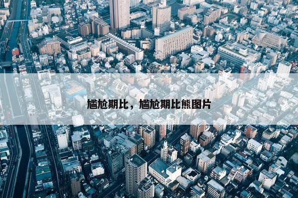 尴尬期比，尴尬期比熊图片