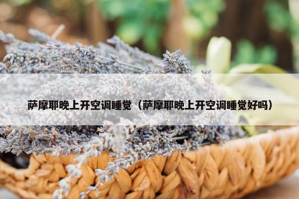 萨摩耶晚上开空调睡觉（萨摩耶晚上开空调睡觉好吗）