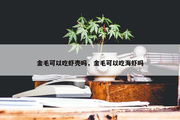 金毛可以吃虾壳吗，金毛可以吃海虾吗