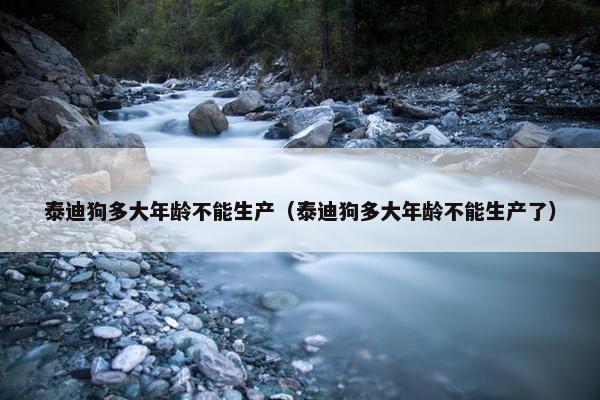 泰迪狗多大年龄不能生产（泰迪狗多大年龄不能生产了）