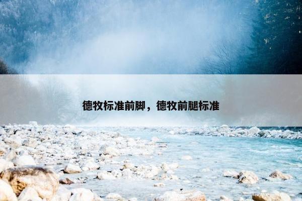 德牧标准前脚，德牧前腿标准